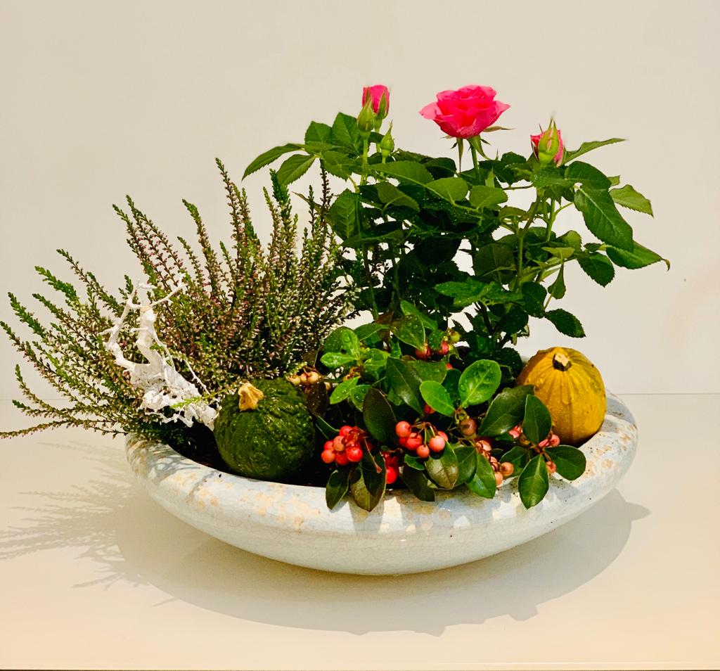 Plants in Vase - Ambient Flores